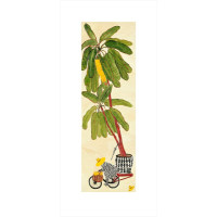 Bought a Banana Tree by Irene Tyack